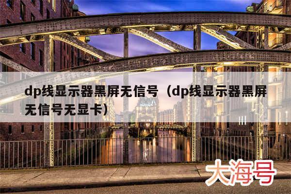 dp线显示器黑屏无信号（dp线显示器黑屏无信号无显卡）