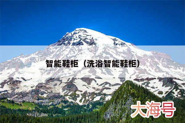 智能鞋柜（洗浴智能鞋柜）