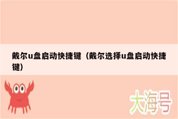戴尔u盘启动快捷键（戴尔选择u盘启动快捷键）