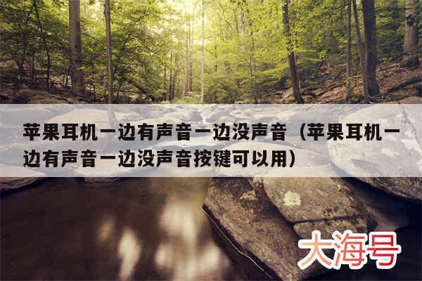 苹果耳机一边有声音一边没声音（苹果耳机一边有声音一边没声音按键可以用）