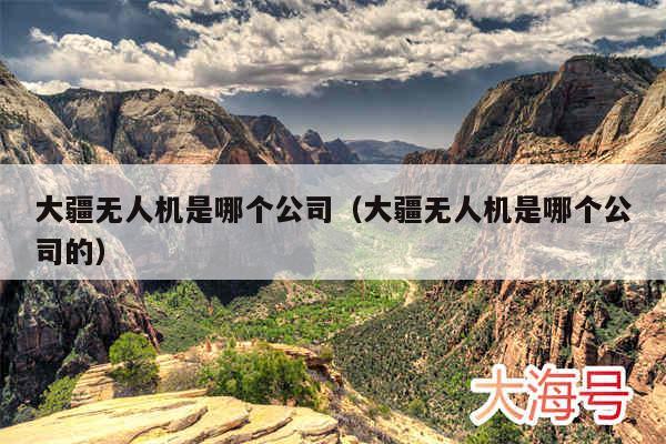大疆无人机是哪个公司（大疆无人机是哪个公司的）
