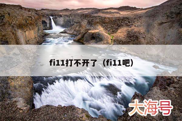fi11打不开了（fi11吧）