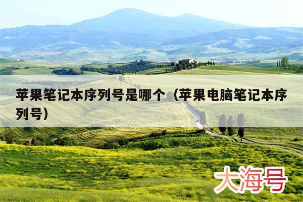 苹果笔记本序列号是哪个（苹果电脑笔记本序列号）