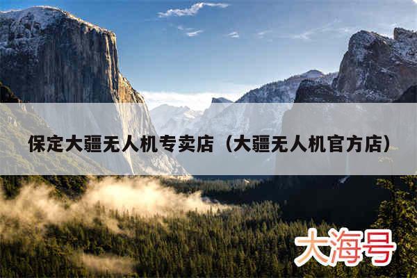 保定大疆无人机专卖店(大疆无人机官方店)