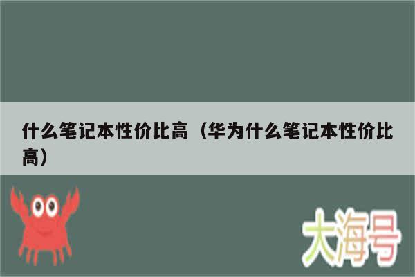 什么笔记本性价比高(华为什么笔记本性价比高)
