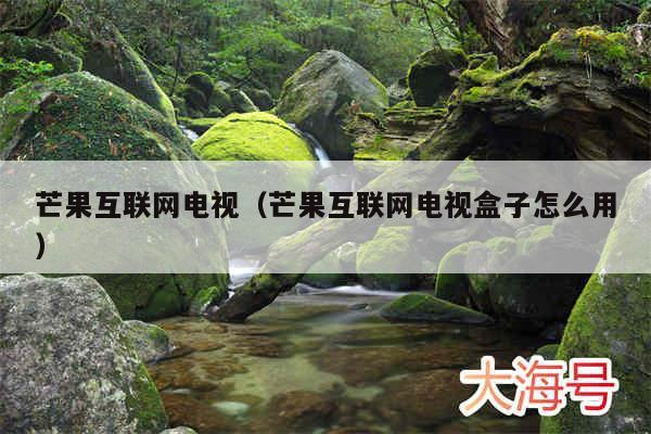 芒果互联网电视(芒果互联网电视盒子怎么用)