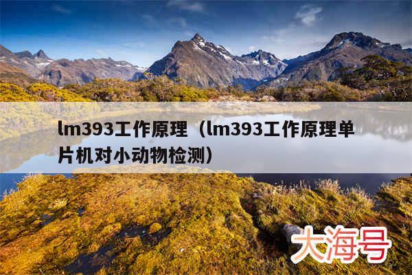 lm393工作原理(lm393工作原理单片机对小动物检测)