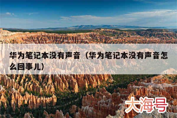 华为笔记本没有声音(华为笔记本没有声音怎么回事儿)