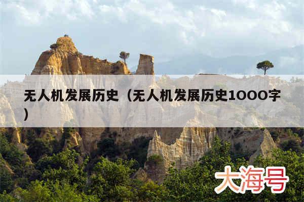 无人机发展历史(无人机发展历史1OOO字)