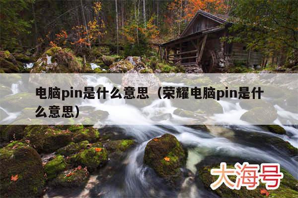 电脑pin是什么意思(荣耀电脑pin是什么意思)