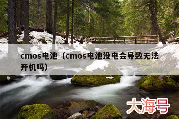 cmos电池(cmos电池没电会导致无法开机吗)