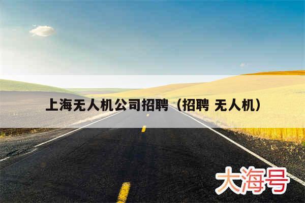 上海无人机公司招聘(招聘 无人机)