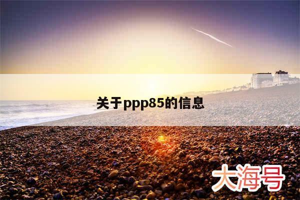关于ppp85的信息