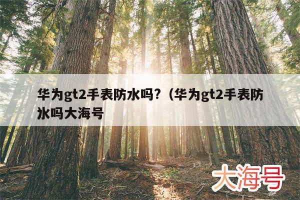 华为gt2手表防水吗?(华为gt2手表防水吗大海号
)