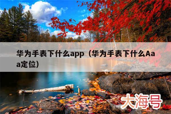 华为手表下什么app(华为手表下什么Aaa定位)