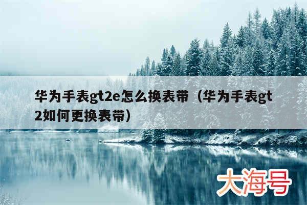 华为手表gt2e怎么换表带(华为手表gt2如何更换表带)