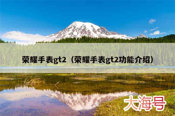 荣耀手表gt2(荣耀手表gt2功能介绍)