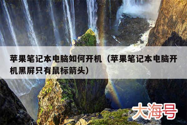 苹果笔记本电脑如何开机(苹果笔记本电脑开机黑屏只有鼠标箭头)