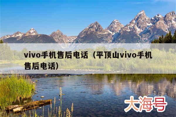 vivo手机售后电话(平顶山vivo手机售后电话)