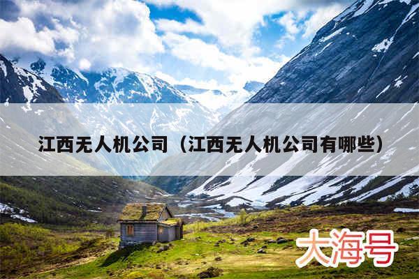 江西无人机公司(江西无人机公司有哪些)