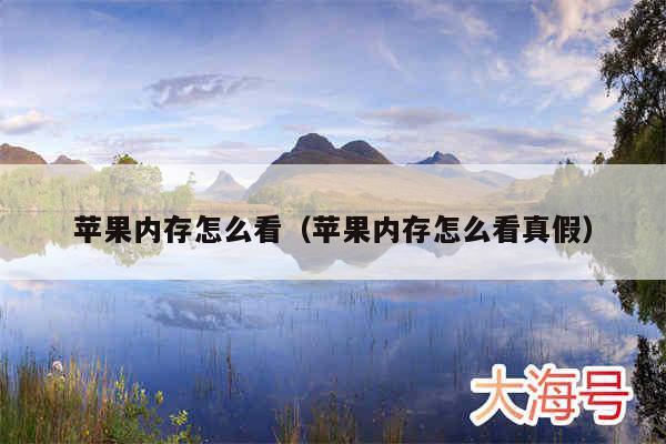 苹果内存怎么看(苹果内存怎么看真假)