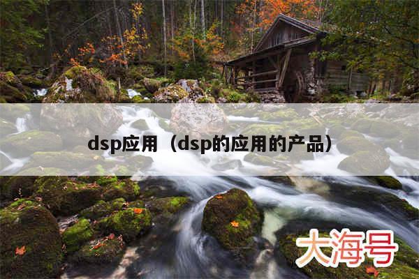 dsp应用(dsp的应用的产品)