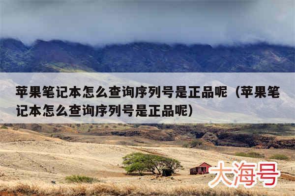 苹果笔记本怎么查询序列号是正品呢(苹果笔记本怎么查询序列号是正品呢)
