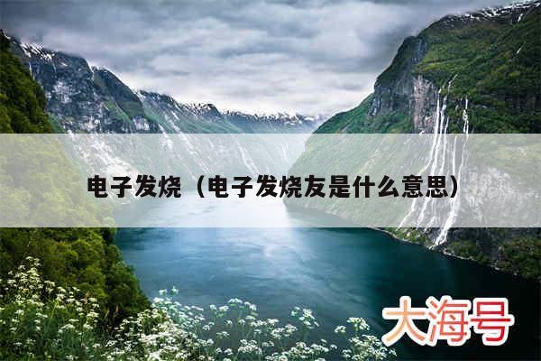 电子发烧(电子发烧友是什么意思)