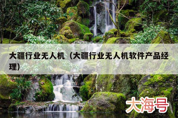 大疆行业无人机(大疆行业无人机软件产品经理)