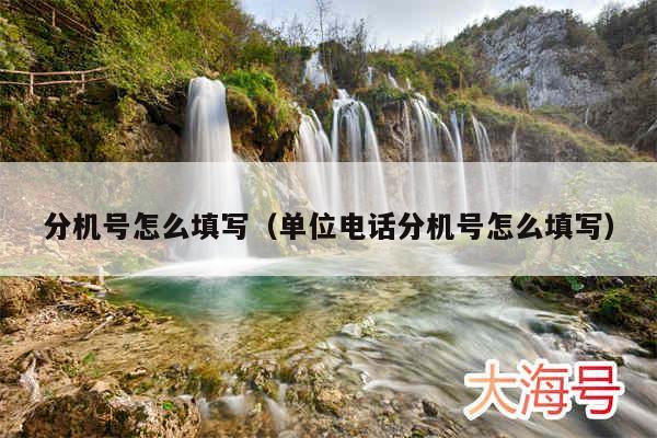 分机号怎么填写(单位电话分机号怎么填写)