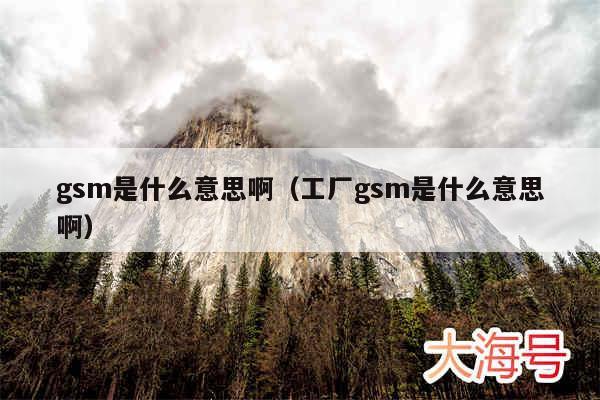 gsm是什么意思啊(工厂gsm是什么意思啊)