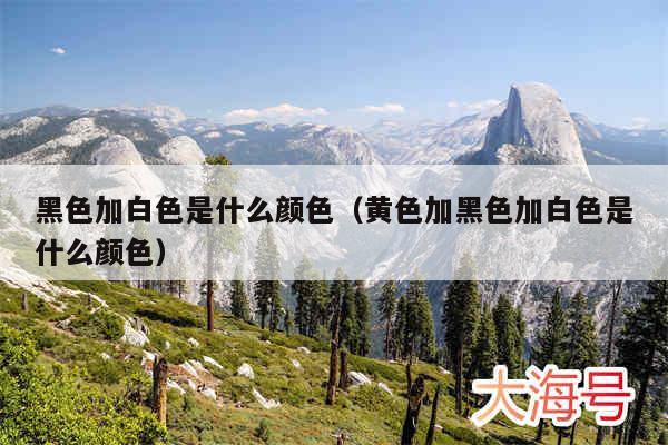 黑色加白色是什么颜色(黄色加黑色加白色是什么颜色)