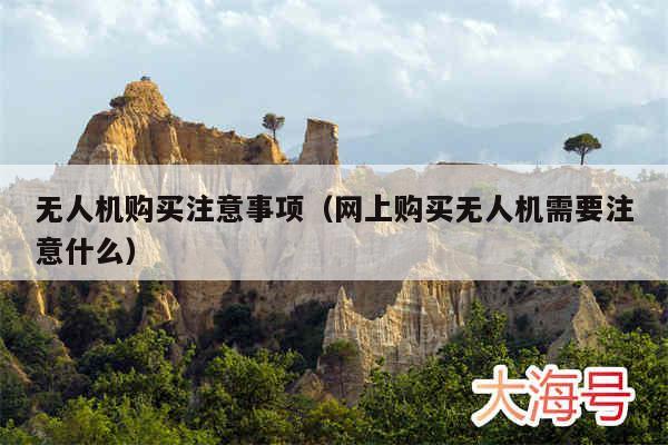无人机购买注意事项(网上购买无人机需要注意什么)