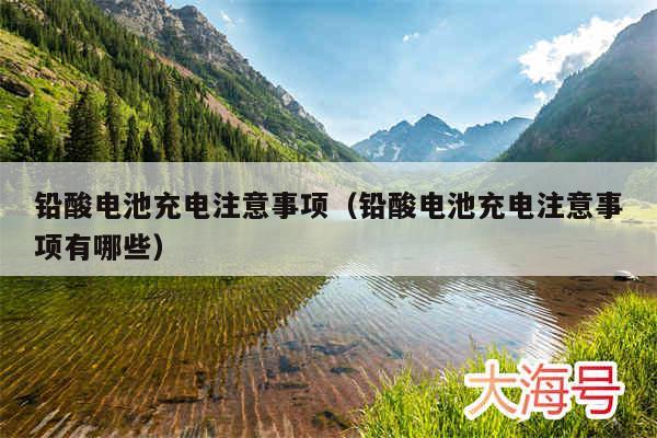 铅酸电池充电注意事项(铅酸电池充电注意事项有哪些)