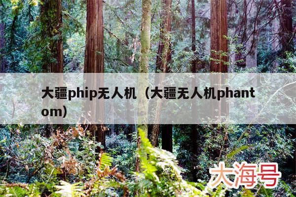 大疆phip无人机(大疆无人机phantom)