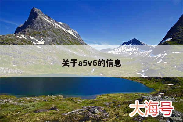 关于a5v6的信息