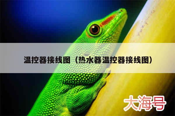 温控器接线图(热水器温控器接线图)