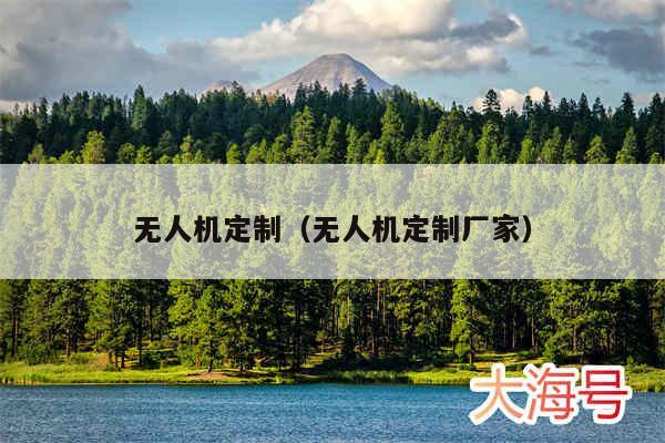 无人机定制(无人机定制厂家)