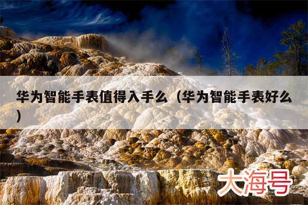 华为智能手表值得入手么(华为智能手表好么)