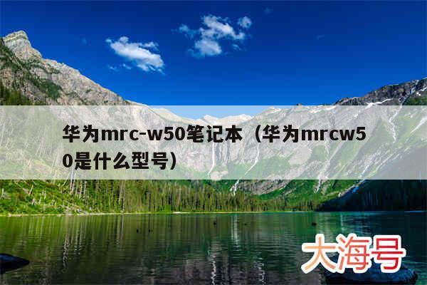 华为mrc-w50笔记本(华为mrcw50是什么型号)