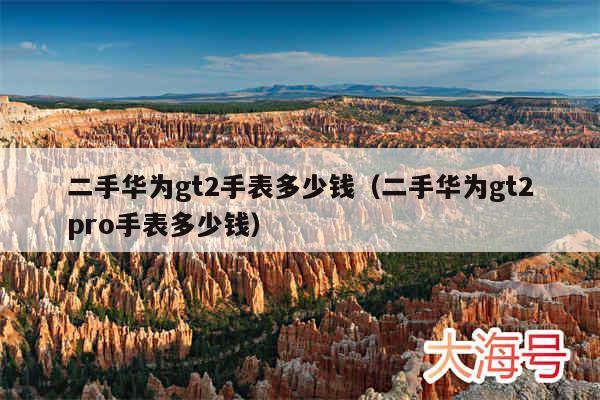 二手华为gt2手表多少钱(二手华为gt2pro手表多少钱)