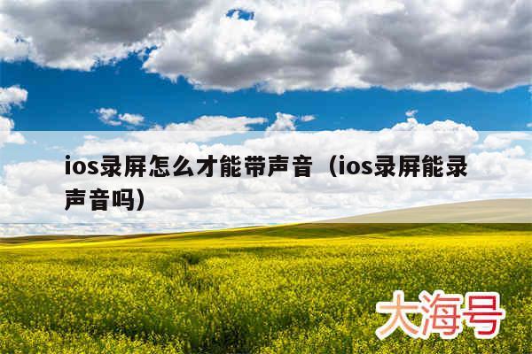 ios录屏怎么才能带声音(ios录屏能录声音吗)