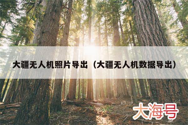 大疆无人机照片导出(大疆无人机数据导出)