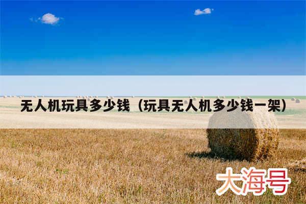 无人机玩具多少钱(玩具无人机多少钱一架)