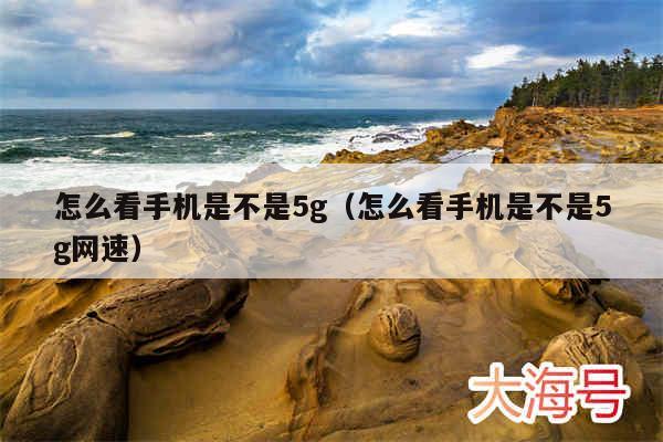 怎么看手机是不是5g(怎么看手机是不是5g网速)