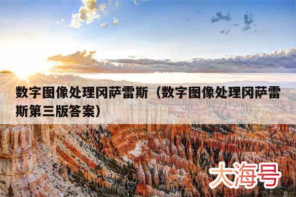 数字图像处理冈萨雷斯(数字图像处理冈萨雷斯第三版答案)