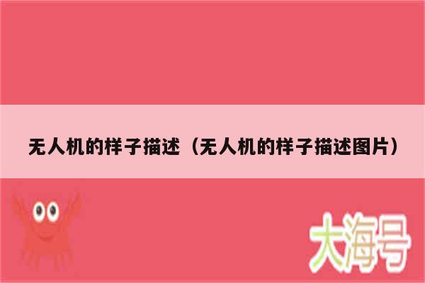 无人机的样子描述(无人机的样子描述图片)