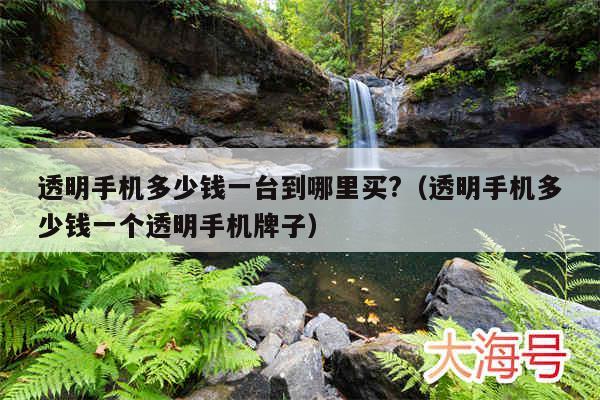 透明手机多少钱一台到哪里买?(透明手机多少钱一个透明手机牌子)
