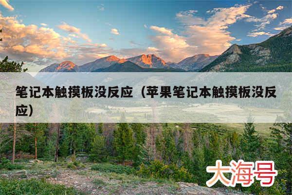 笔记本触摸板没反应(苹果笔记本触摸板没反应)