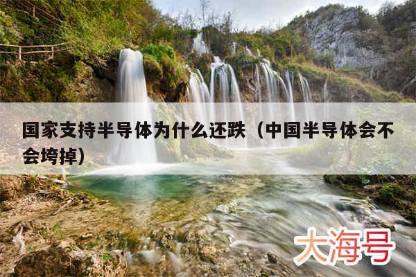 国家支持半导体为什么还跌(中国半导体会不会垮掉)